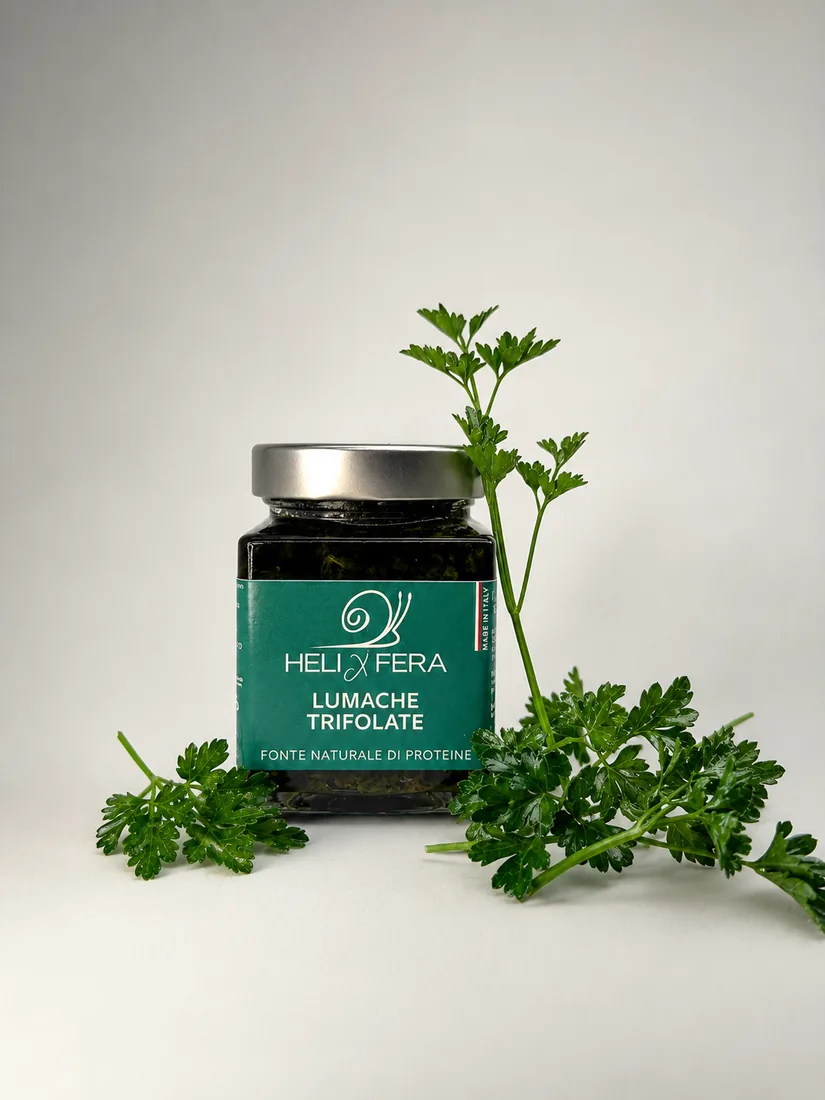 Chiocciole Trifolate Helixfera